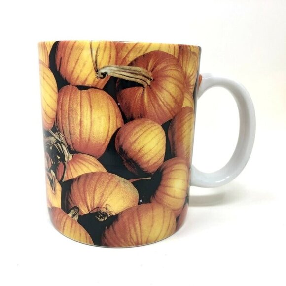 Starbucks 2007 Autumn Fall Harvest Pumpkin Patch Theme Coffee Mug 16oz. - Picture 3 of 10